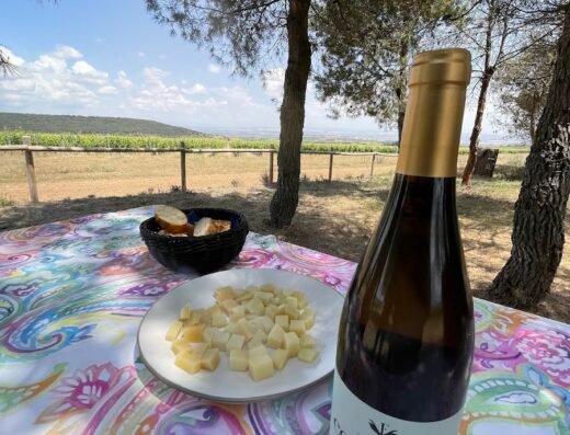 Finca Vistahermosa – Enoturismo