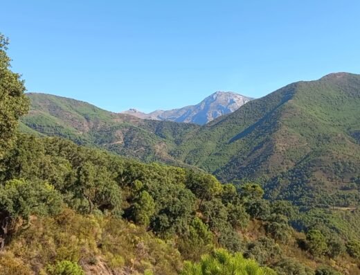 Parque nacional de la Sierra de las Nieves