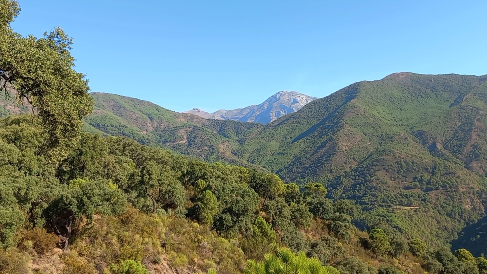 Parque nacional de la Sierra de las Nieves
