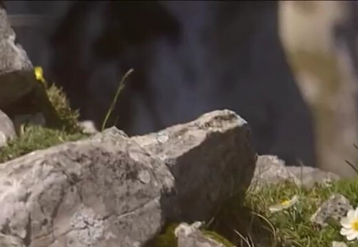 Parque natural de las Sierras Subbéticas