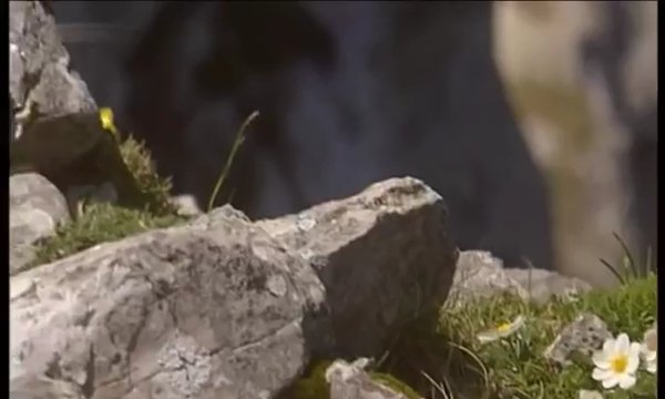 Parque natural de las Sierras Subbéticas