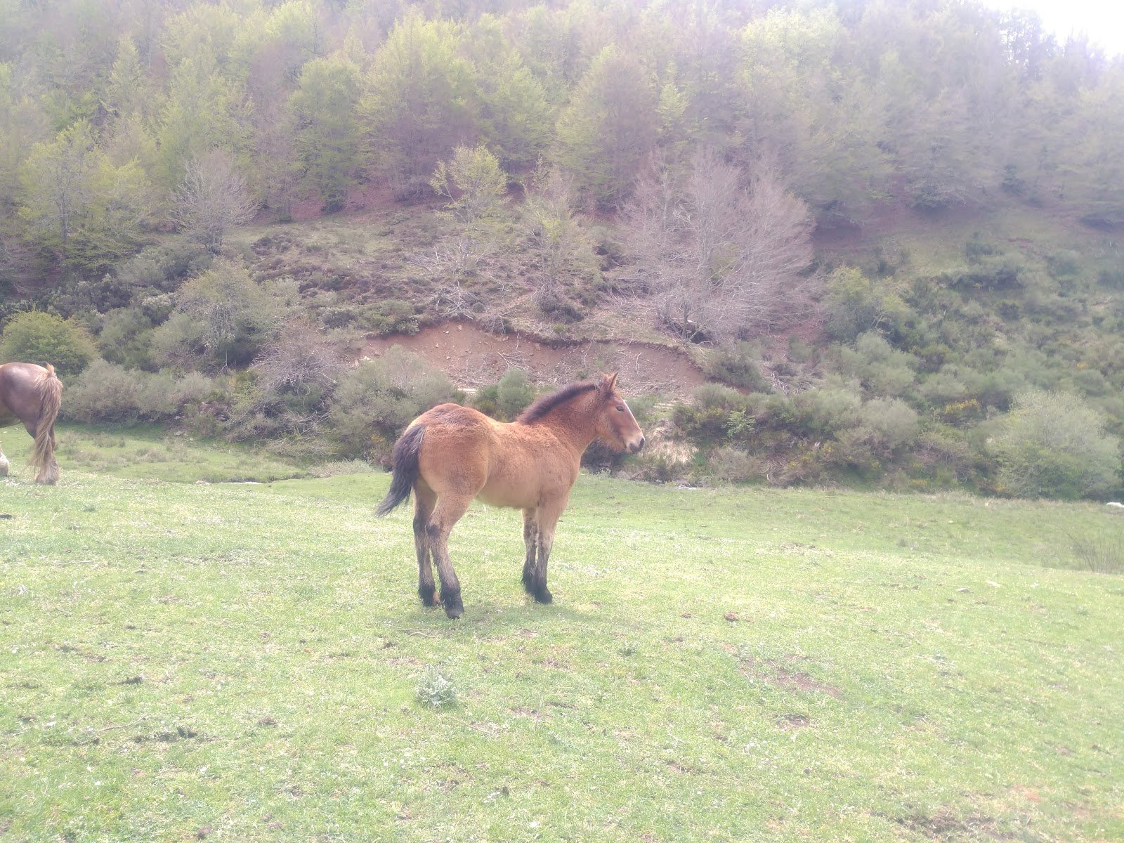 Área Recreativa Los Casares