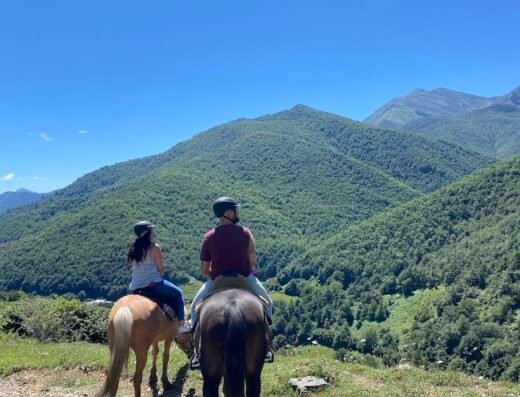 El Portal de Picos