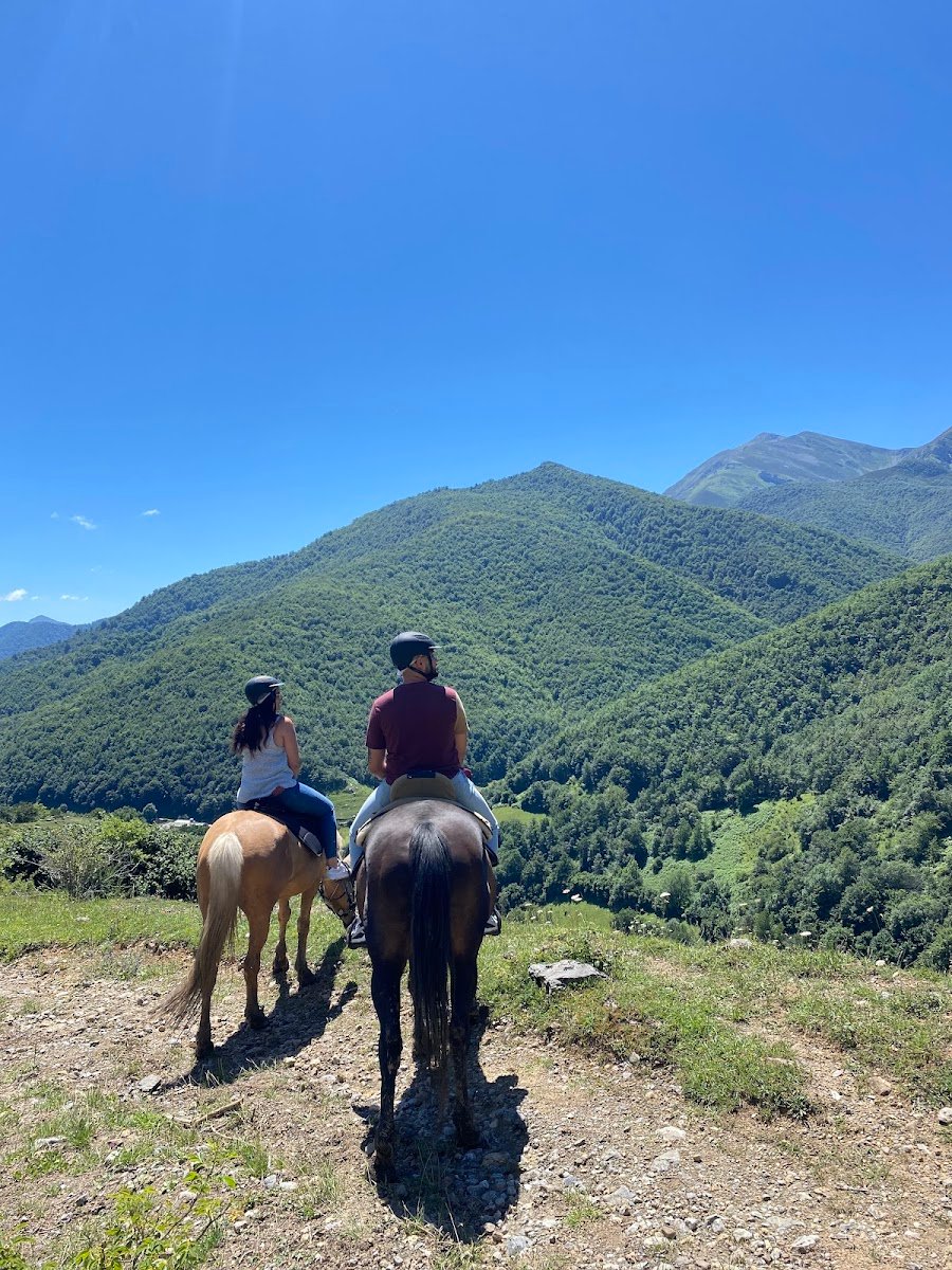 El Portal de Picos