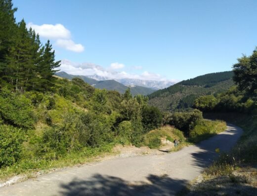 Pico Cutriales