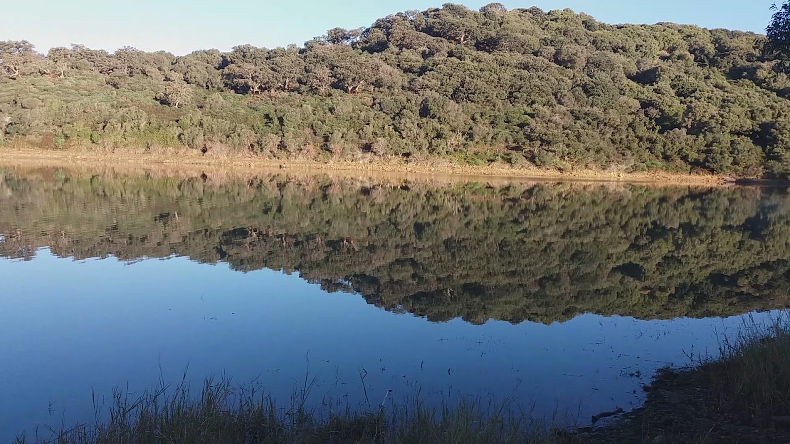 Parque Natural Los Alcornocales