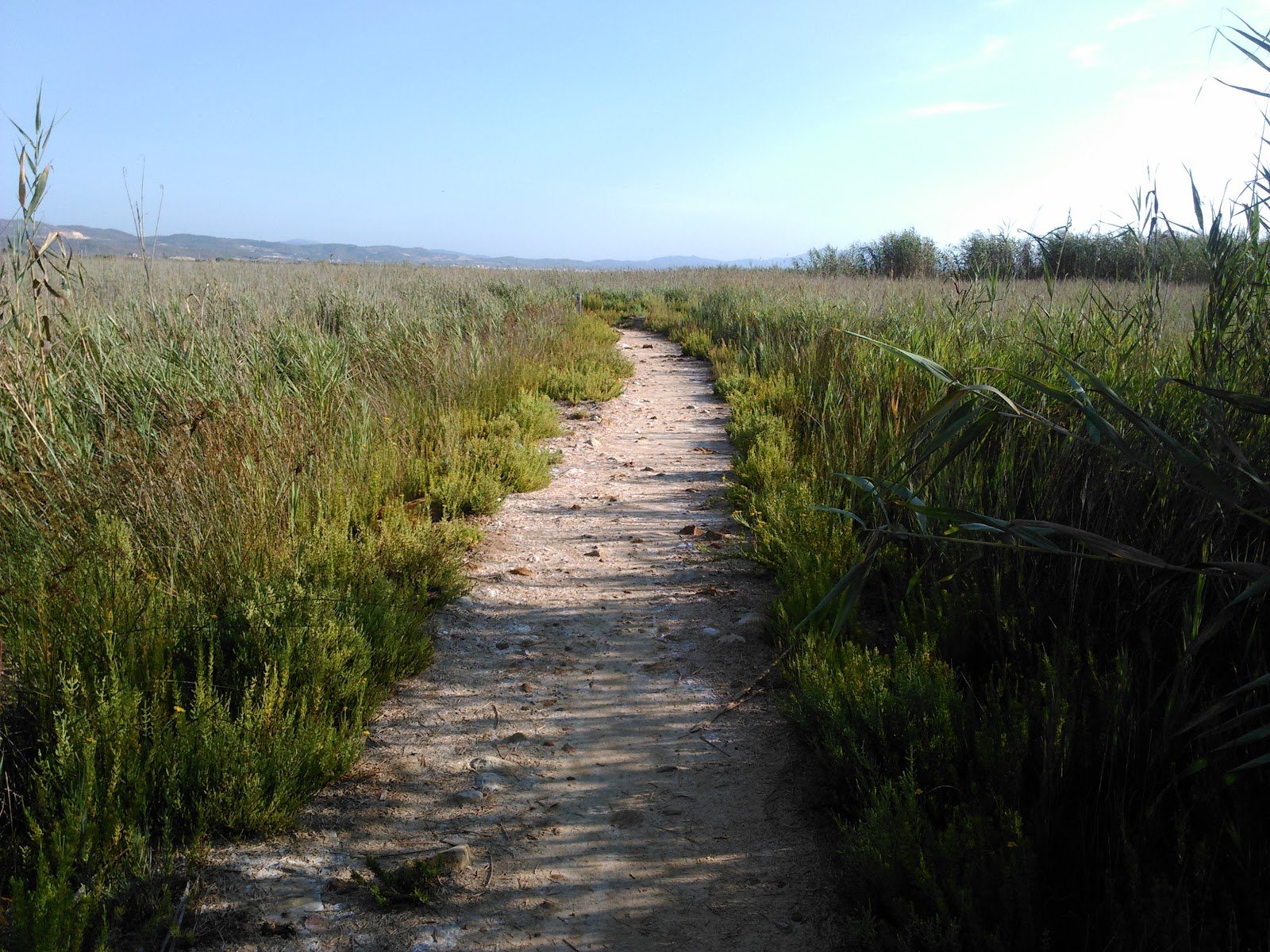 Parque Natural del Prat de Cabanes-Torreblanca