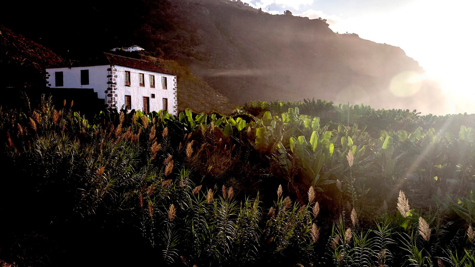 Hacienda Cuatro Ventanas