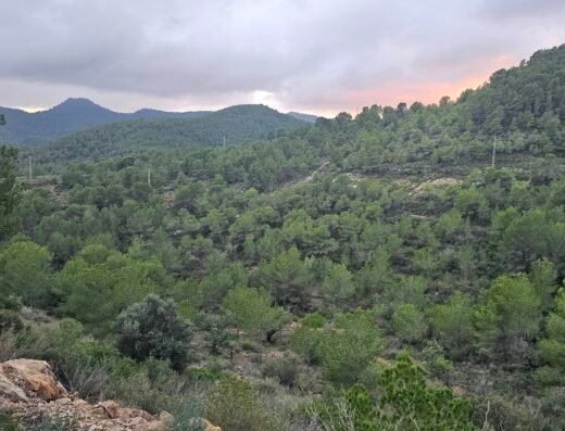 Parque Natural de la Sierra Calderona