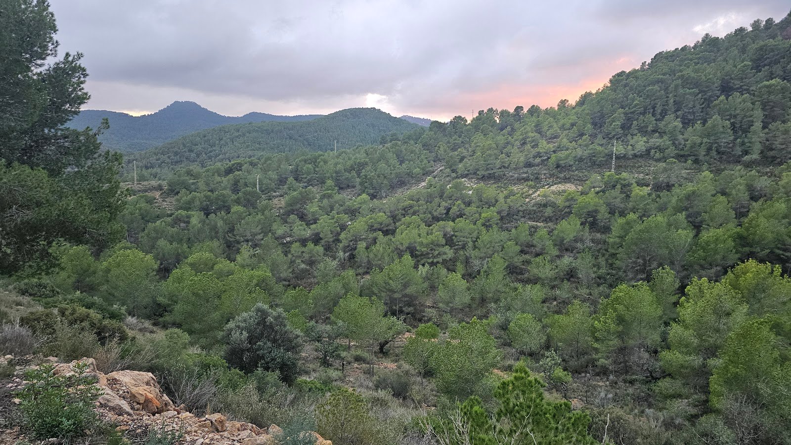Parque Natural de la Sierra Calderona