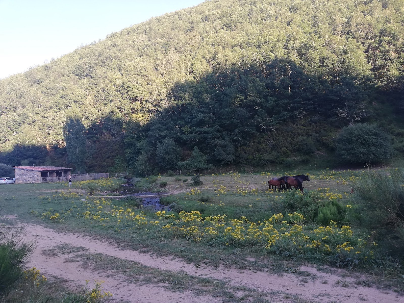 Área Recreativa Los Casares