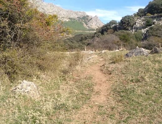 Parque Natural Sierra de Grazalema