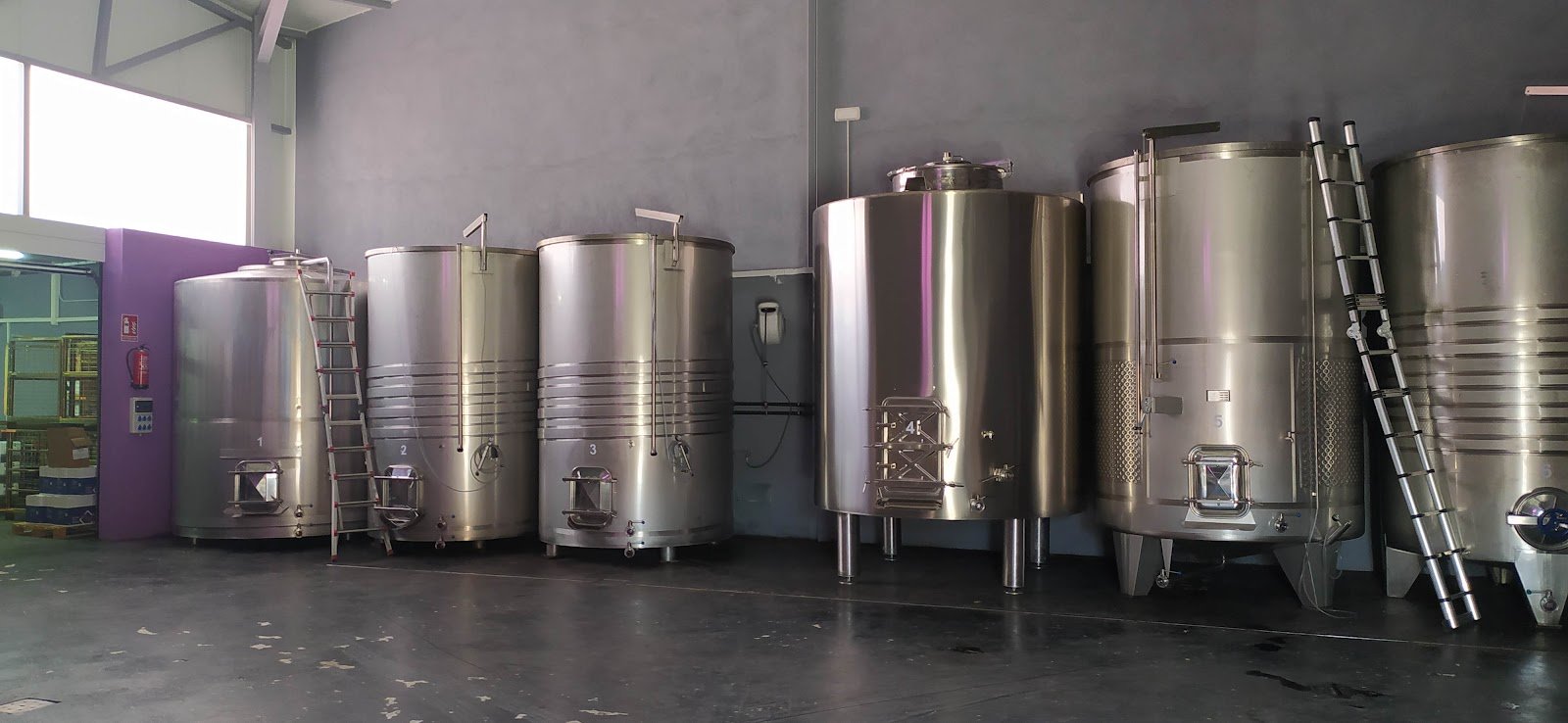 Bodegas Jota Flores