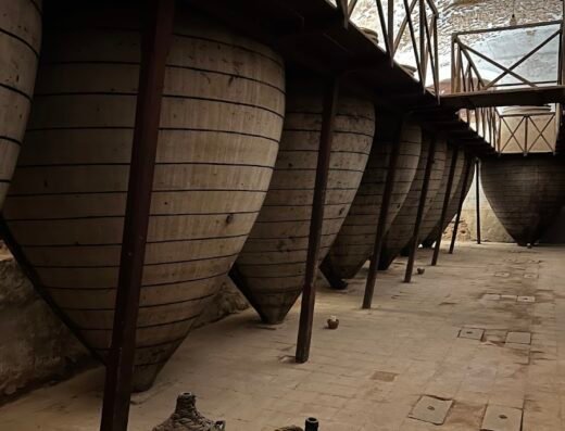 Bodegas San Ricardo Enoturismo Valdepeñas