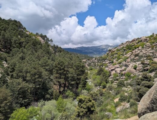 Parque Regional de la Cuenca Alta del Manzanares