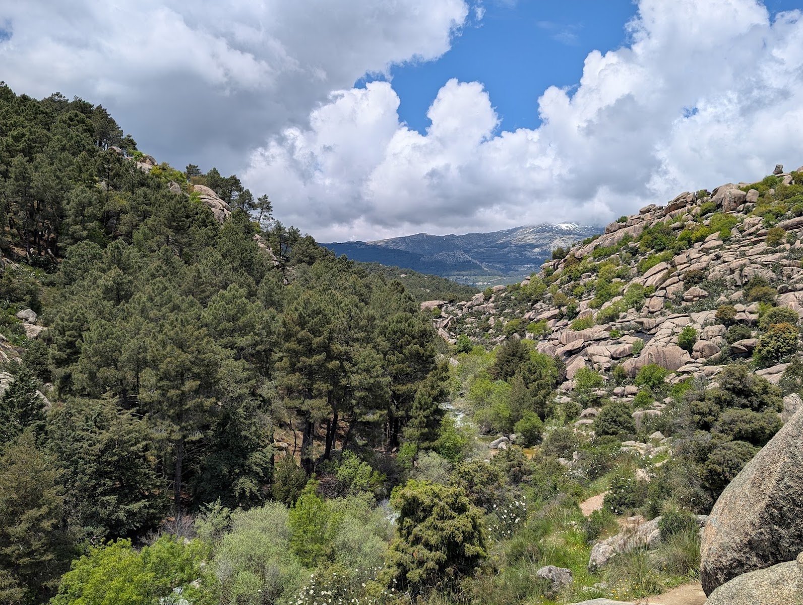 Parque Regional de la Cuenca Alta del Manzanares