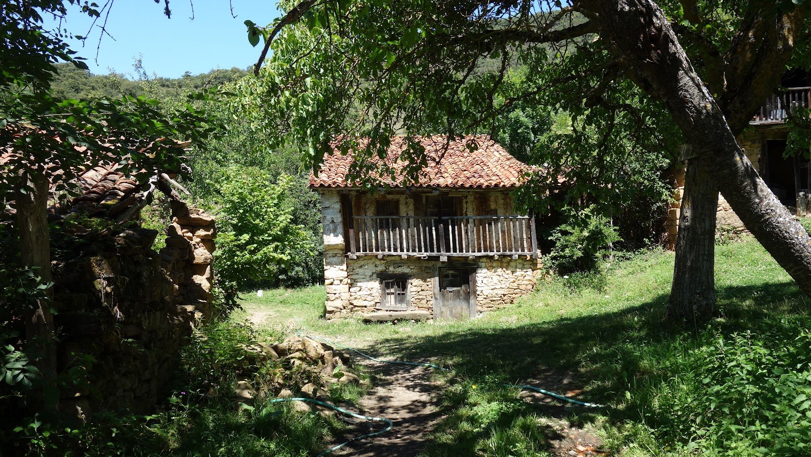 Alcornocal de Tolives . Cruce de sendero circular ( Potes, Valmayor, Porcieda ) Cantabria.