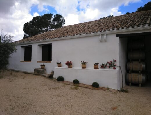 Finca Hoya de Cadenas (Centro de Enoturismo de Vicente Gandía)