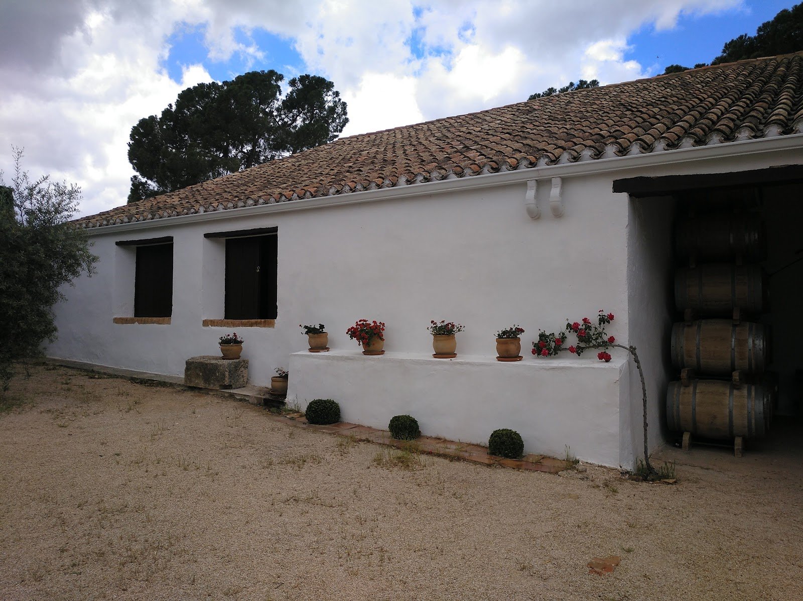 Finca Hoya de Cadenas (Centro de Enoturismo de Vicente Gandía)