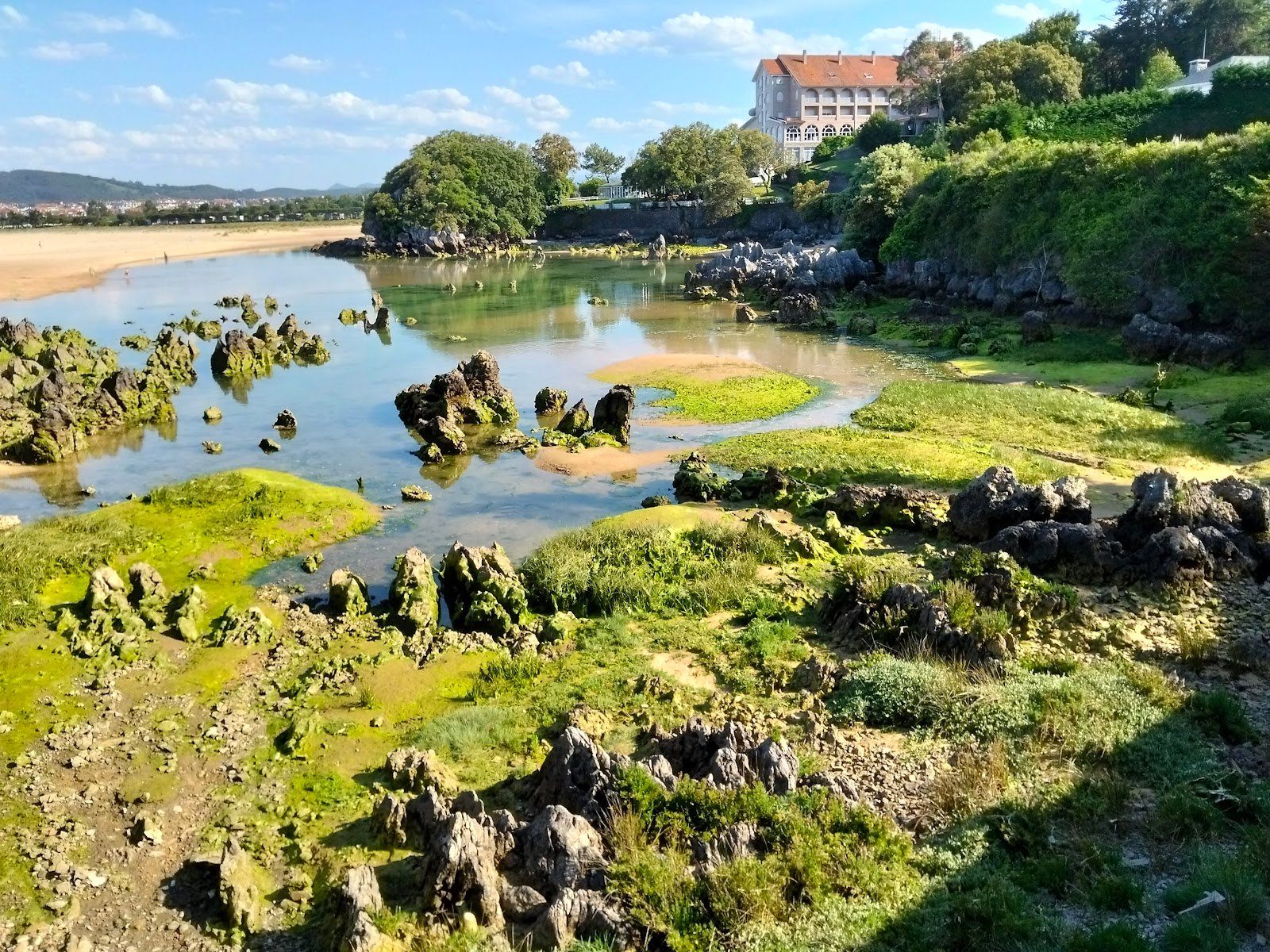 Hotel Pelayo Isla
