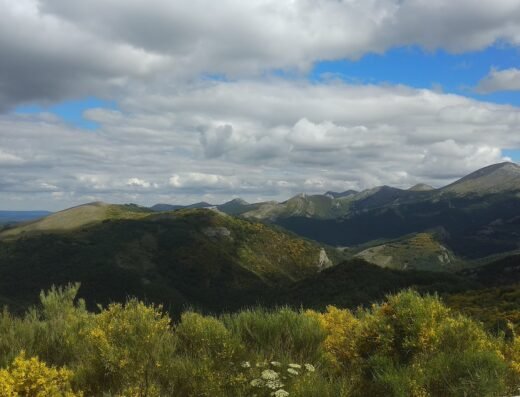 Parque Natural Montaña Palentina