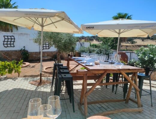 El Peco Bodegas y Viñedos Enoturismo