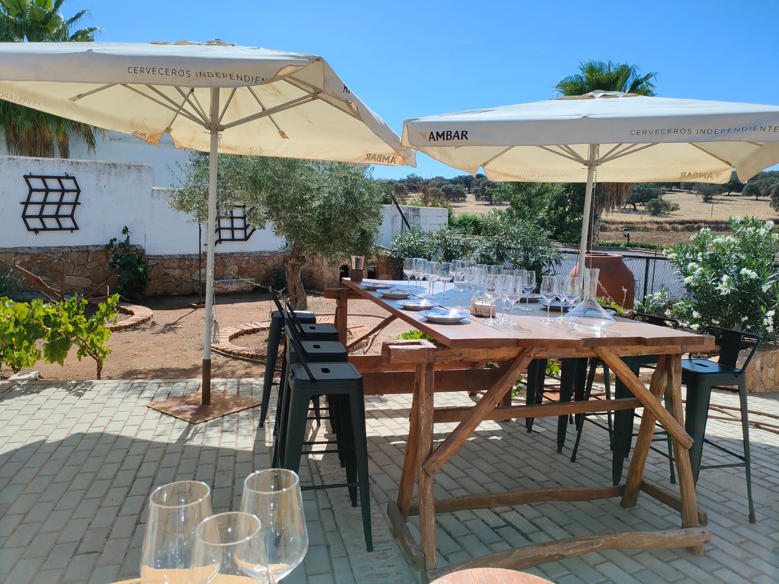 El Peco Bodegas y Viñedos Enoturismo
