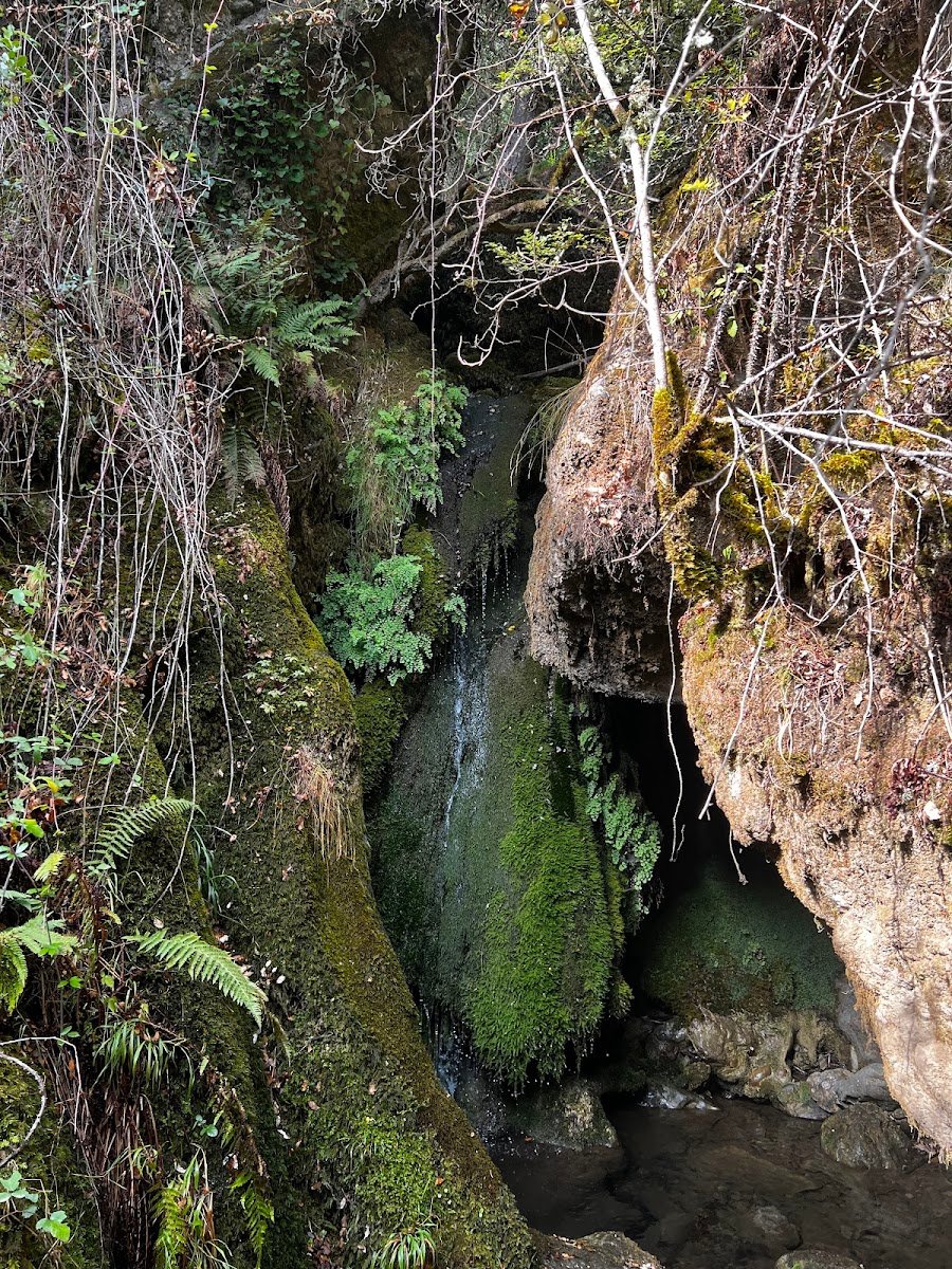 Cascadas de Retumbia