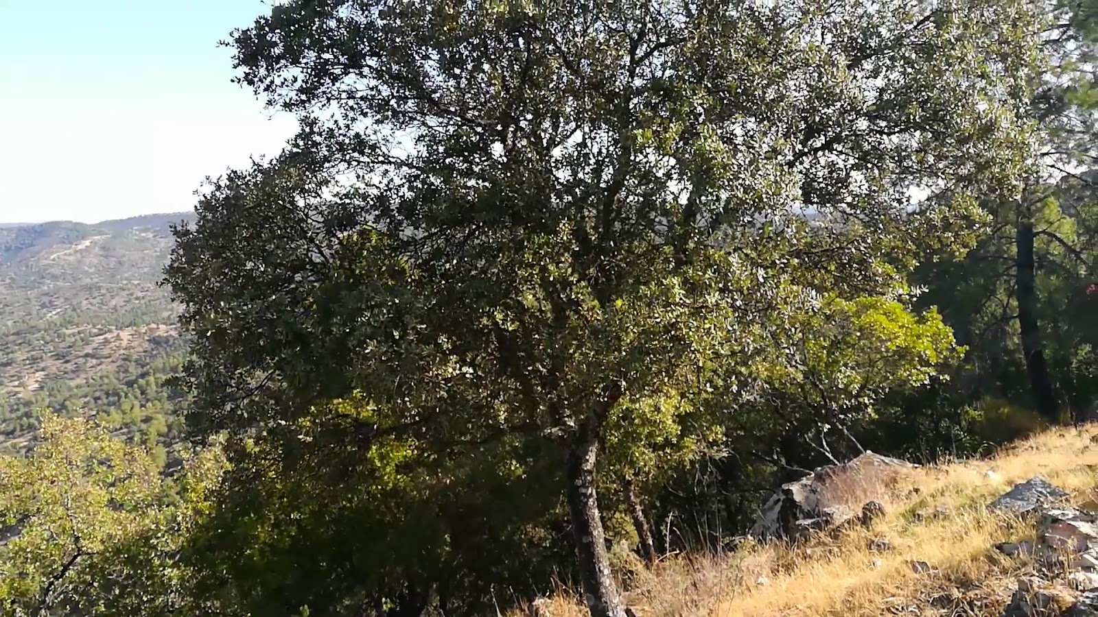 Parque Natural Sierra de Cardeña y Montoro