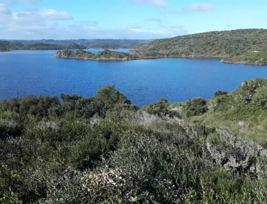 Parque Natural de la Albufera de Grau
