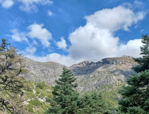 Parque nacional de la Sierra de las Nieves
