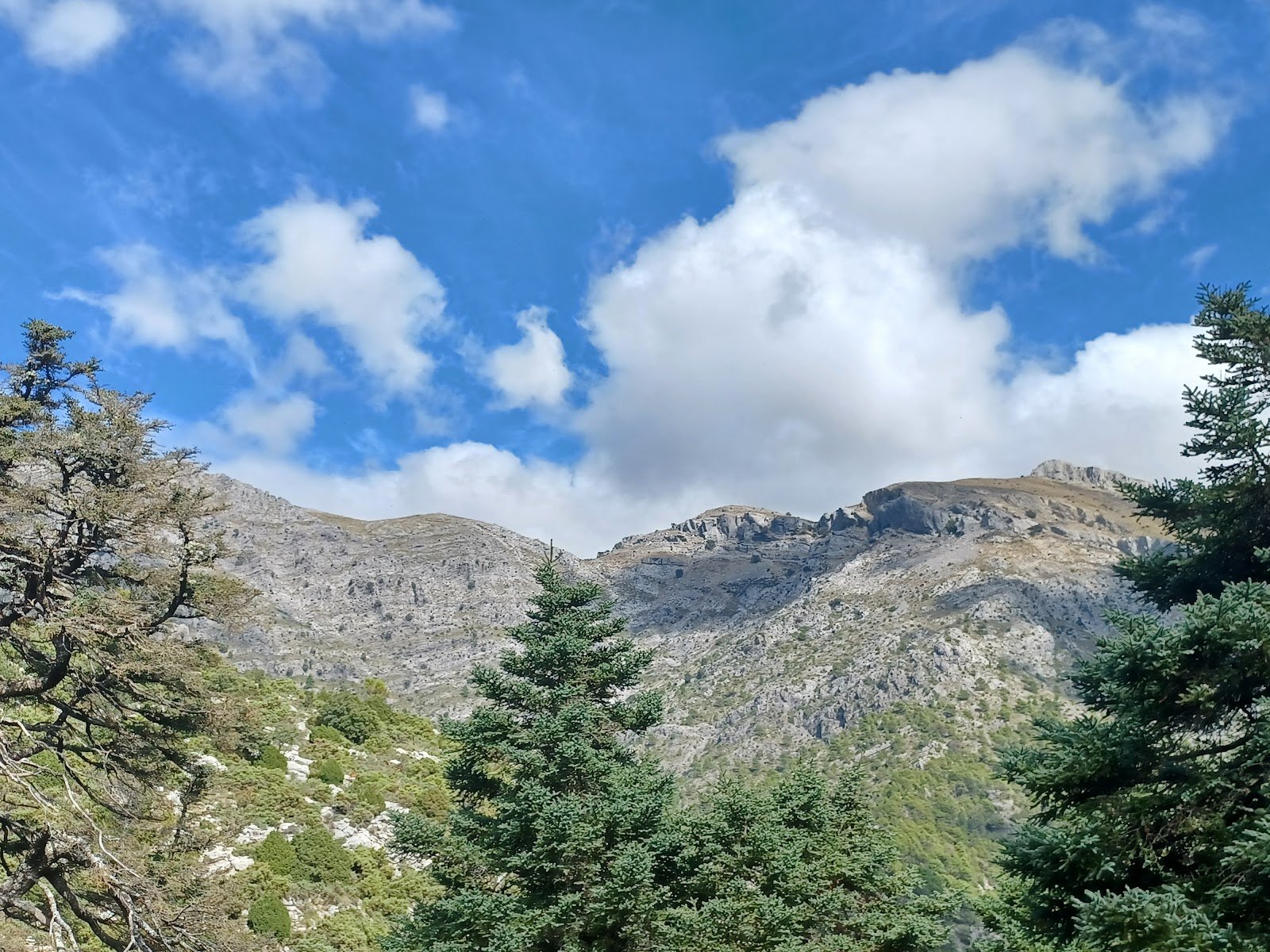Parque nacional de la Sierra de las Nieves
