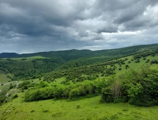 Parque Natural Saja-Besaya