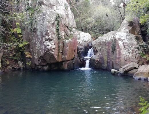 Parque Natural Los Alcornocales