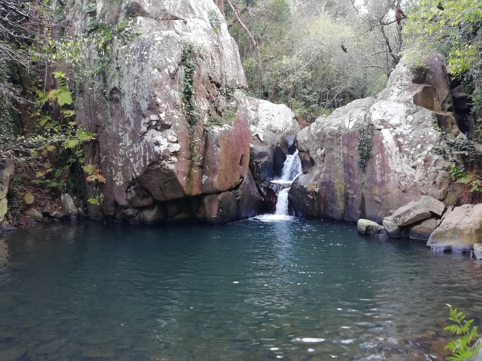 Parque Natural Los Alcornocales