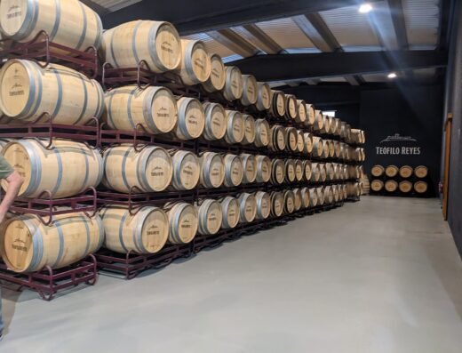 Bodegas Teófilo Reyes