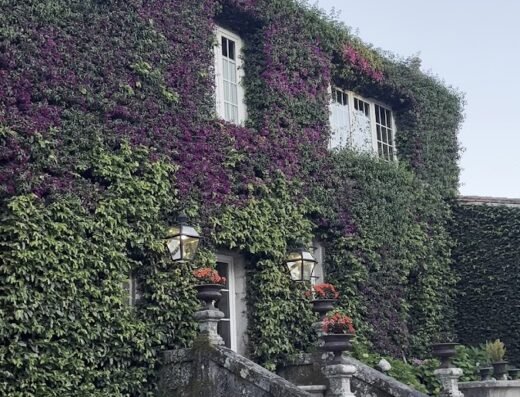 Bodega, Destilería, Eventos y Enoturismo Pazo Señorans