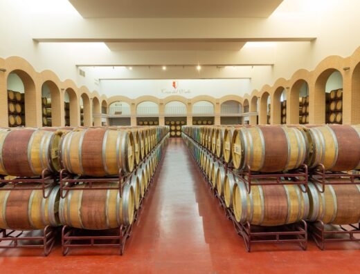Bodegas y Viñedos Casa del Valle