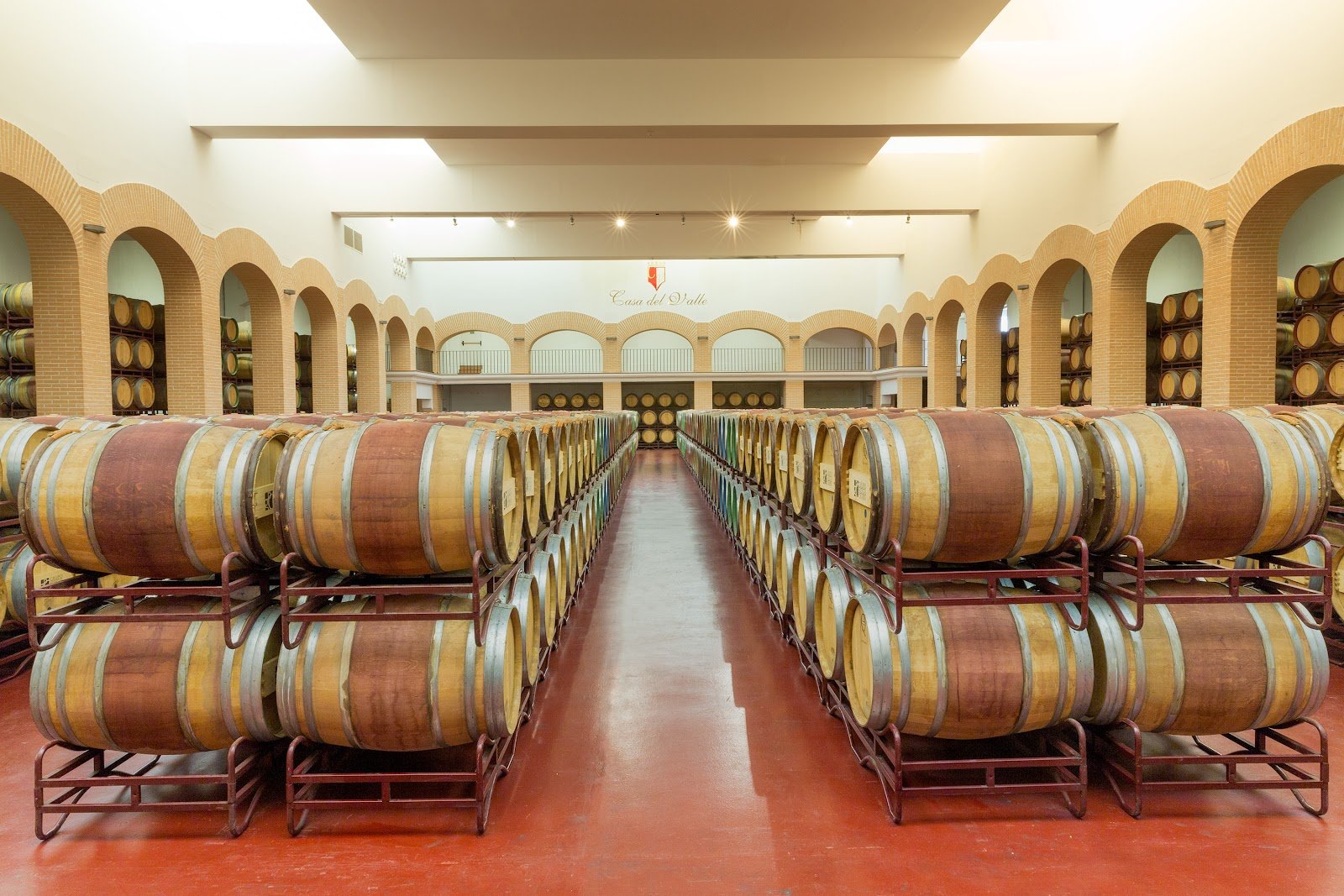 Bodegas y Viñedos Casa del Valle