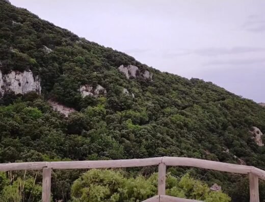 Parque natural del Carrascal de la Fuente Roja