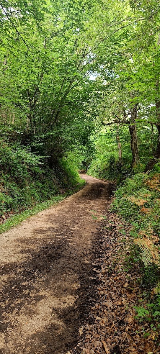 Ruta bajo los Picos