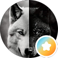 P S (Le Loup)