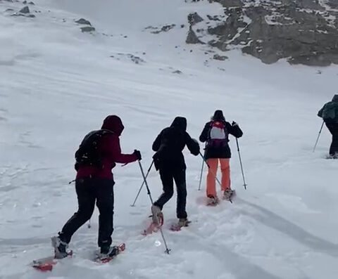 El Portal de Picos