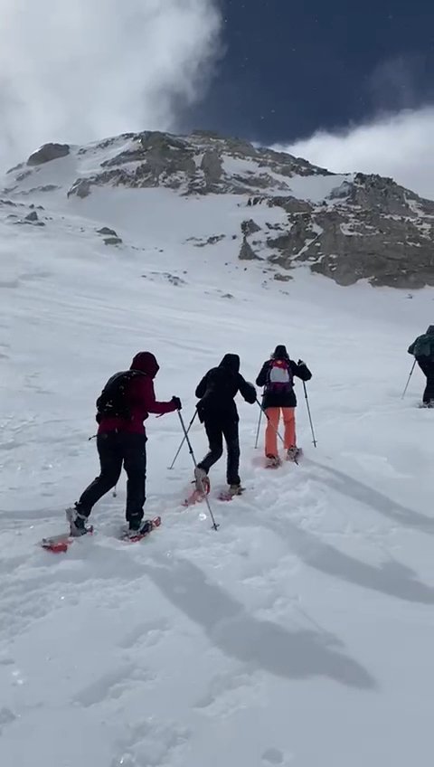 El Portal de Picos