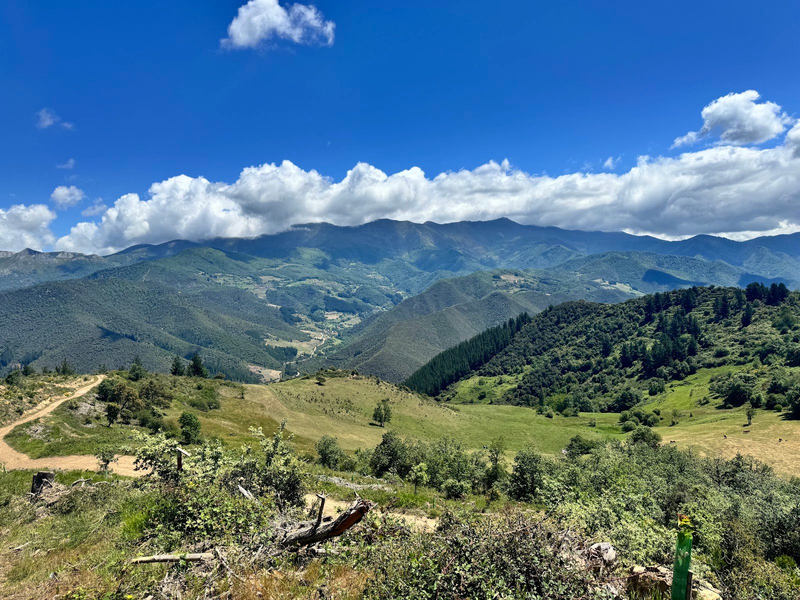 Pico Cutriales