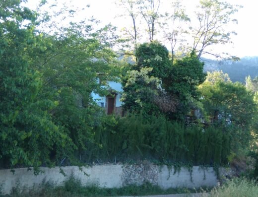Cortijo rural Los Angostones