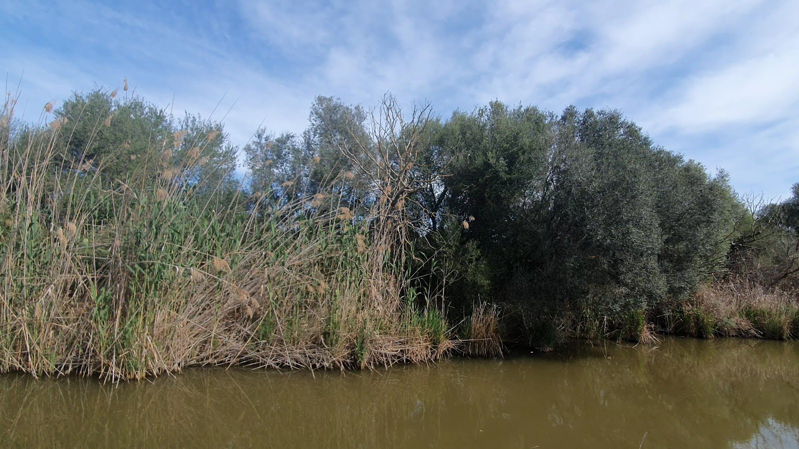 Parque Natural de s’Albufera de Mallorca