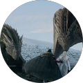 Drogon