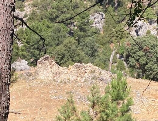 Cortijo del Tío Espantagrillos