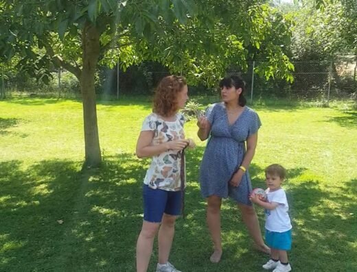 Camping Berceo